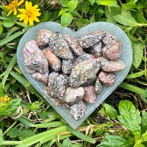 (2) Tumbled Leopardskin Jasper Stones